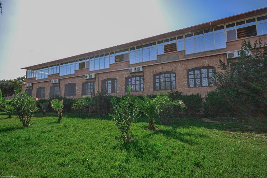 L'Oliveraie D'Amizmiz Exterior photo